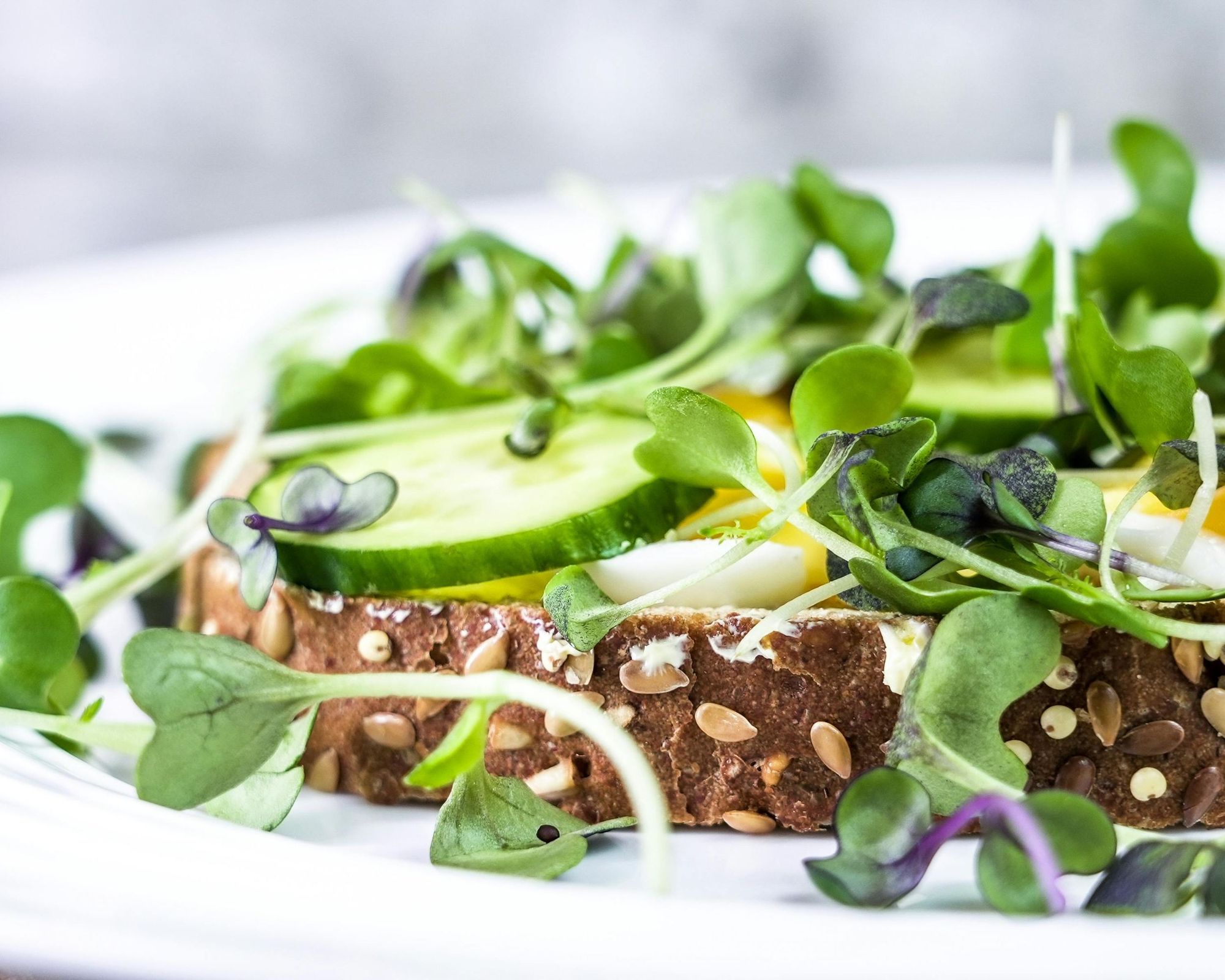 Microgreens on artisan toast